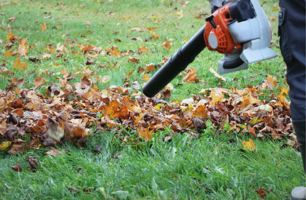 Leaf blower repair