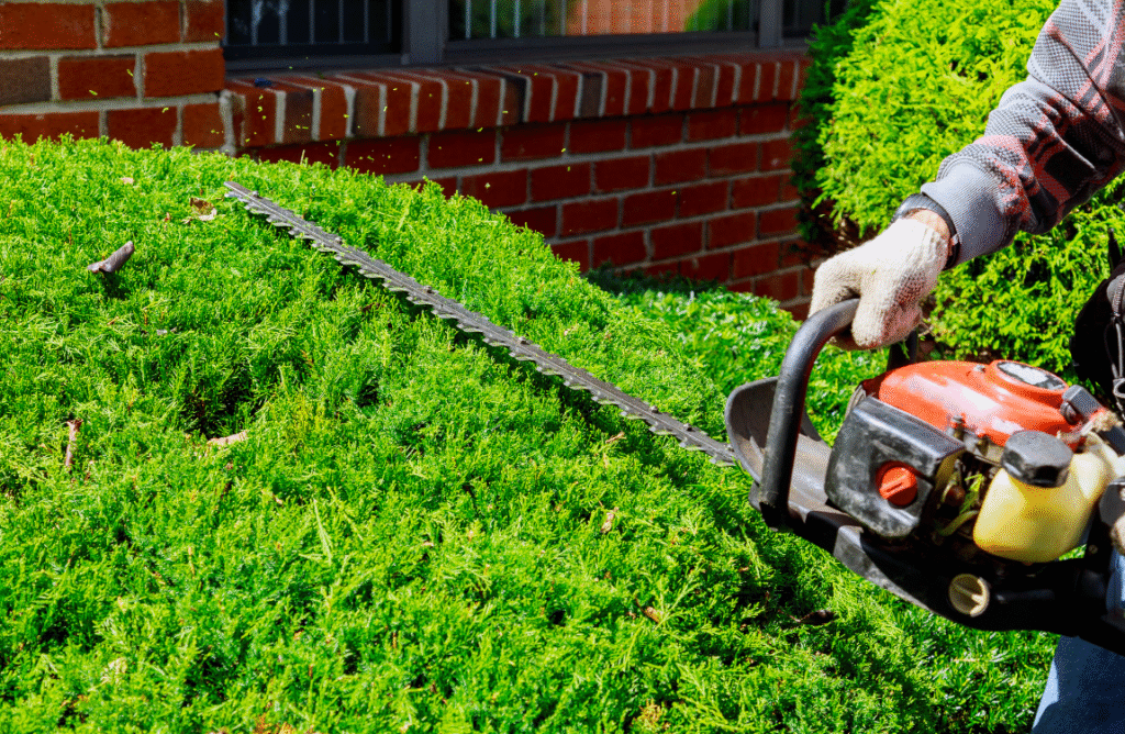 hedge trimmer repair